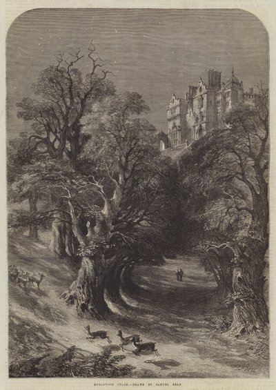 Merlewood Chase by Samuel Read